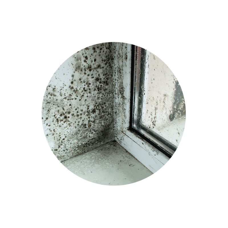 Mold